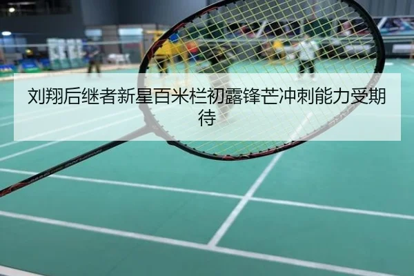 刘翔后继者新星百米栏初露锋芒冲刺能力受期待